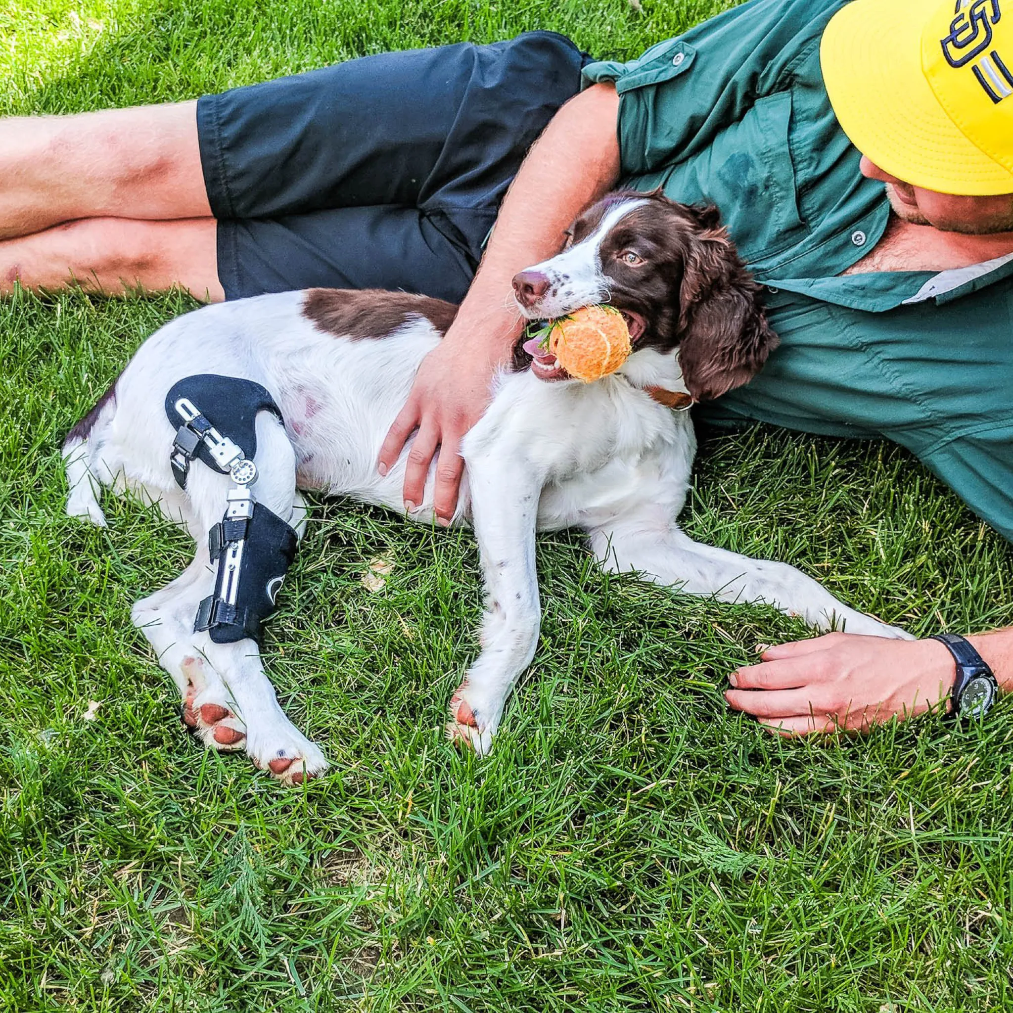 Performance Dog Knee Brace | CCL-ACL Stifle | Dog Rear Leg Brace