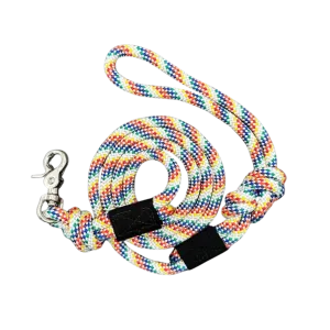 Wilderdog Quick Clip Leash Rainbow 5'